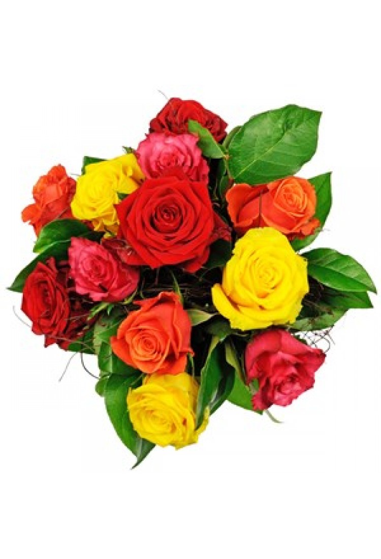 Affection Mixed Roses..