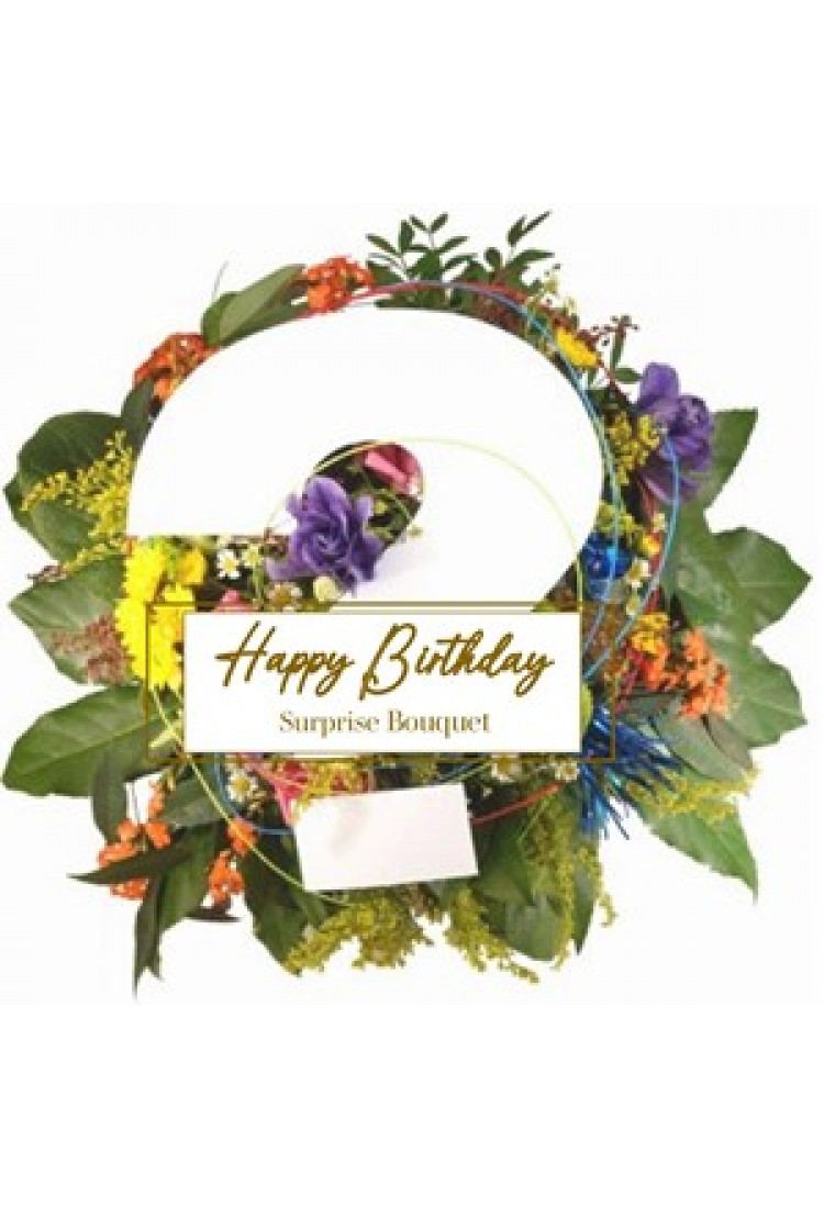 Happy Birthday Surprise B.. Happy Birthday Surprise B..