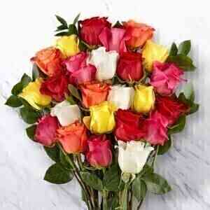 24 MIXED ROSES BUNCH..