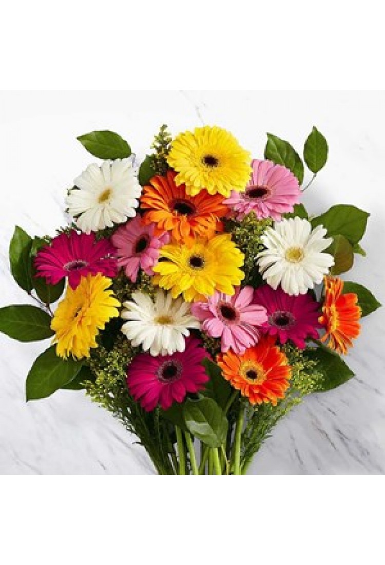 Mixed Gerbera Bunch..