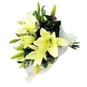 LILY BUNCH WHITE..