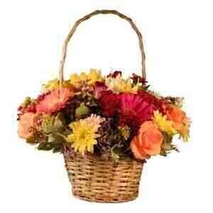 MIXED MAGIC BASKET..