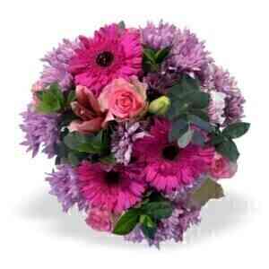 PINK BUNCH MED..