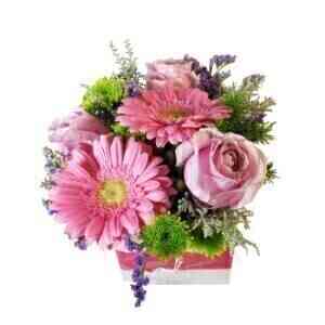 PRETTY IN PINK..