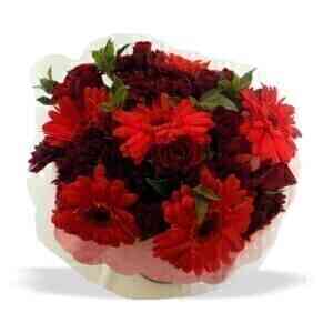 RED BUNCH MED..