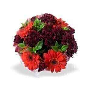 RED BUNCH SML..