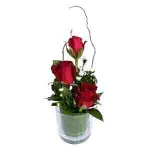 THREE ROSE GLASS RED..