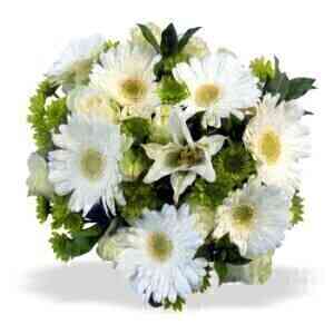WHITE BUNCH LRG..