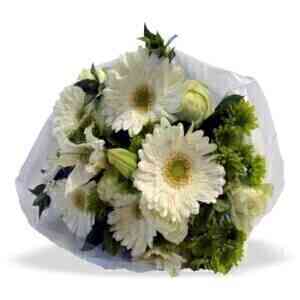 WHITE BUNCH MED..