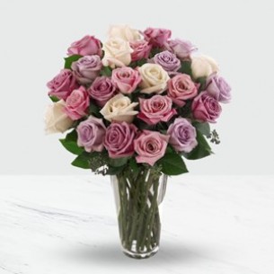 24 Pink and purple roses ..