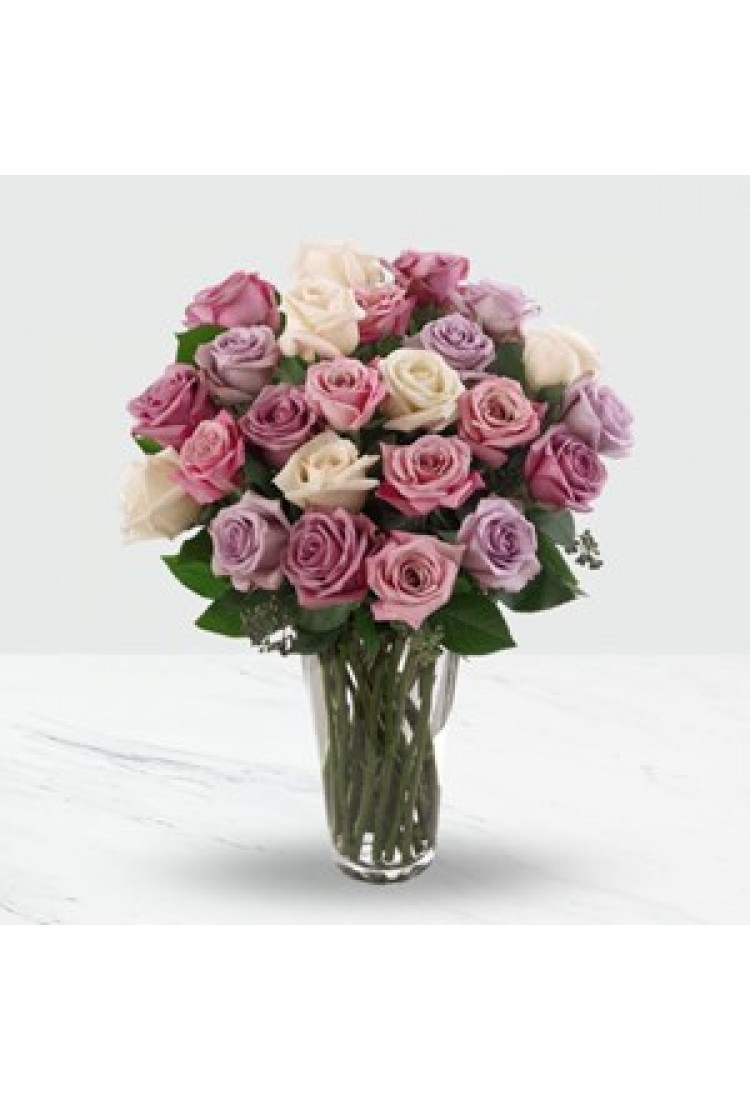 24 Pink and purple roses .. 24 Pink and purple roses ..