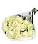 Amanda NG1001..