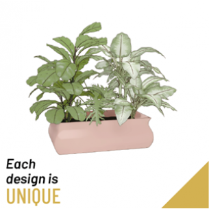 Arrangement of Plants..