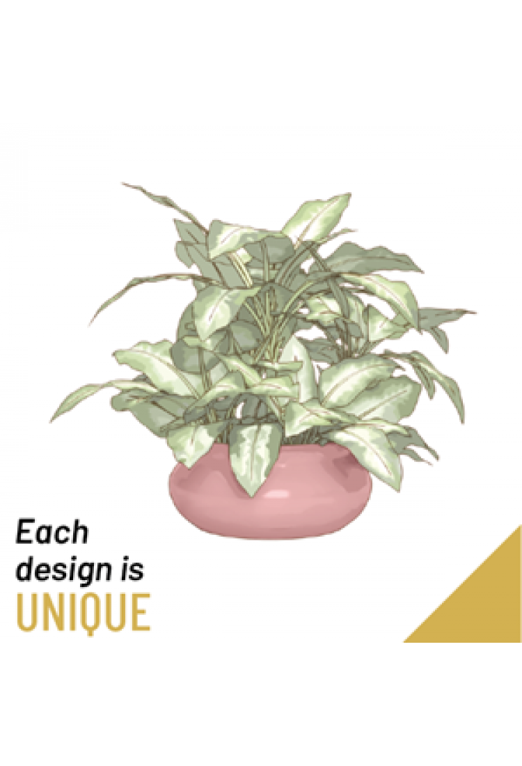 Single Green Plant..
