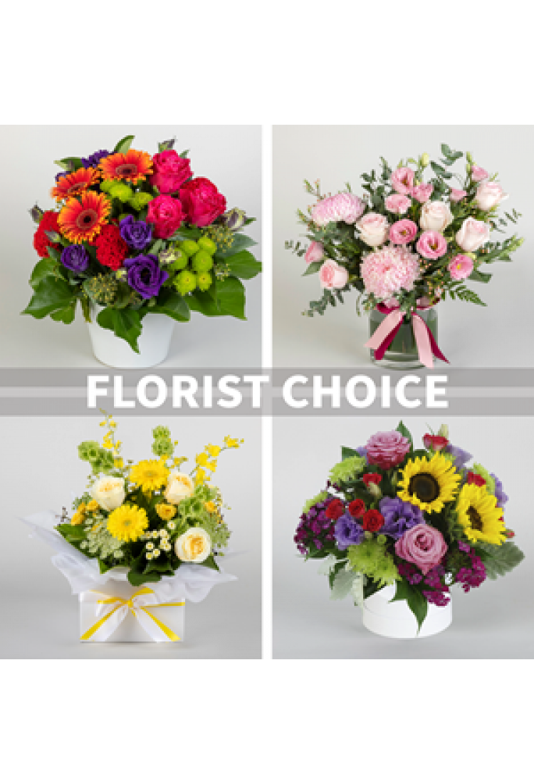 Arrangement of cut flower..