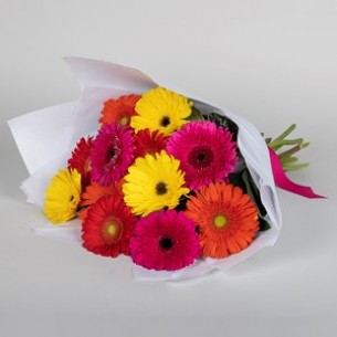 Colourful Gerberas..