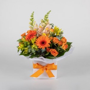 Orange Zest Posy..