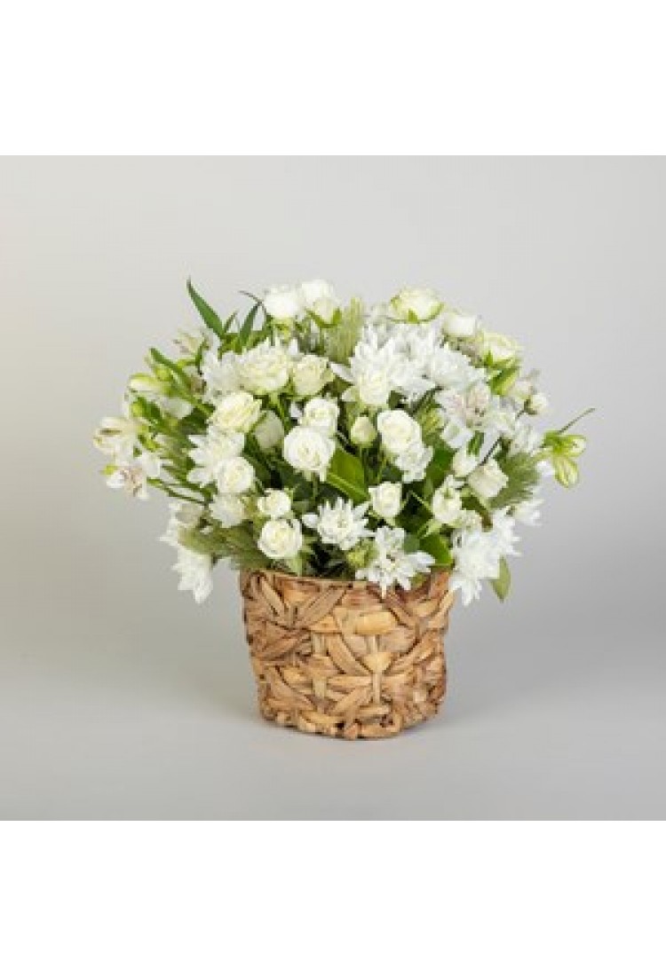 Sympathy Rose Basket..