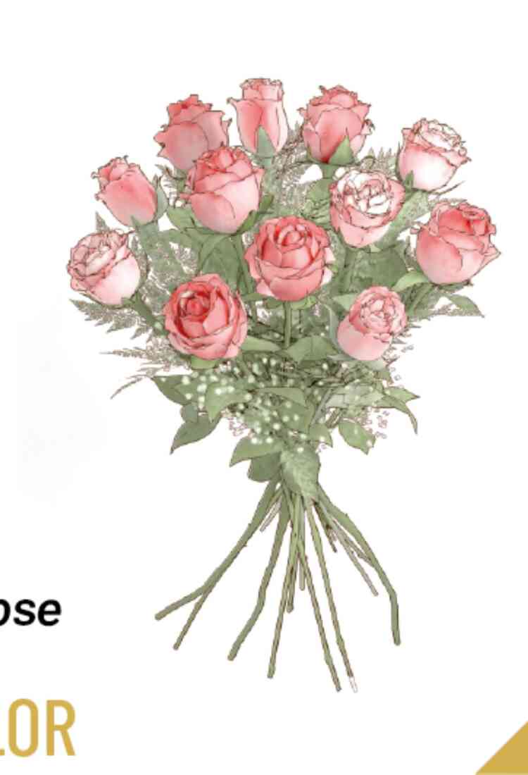 12 roses medium stemmed..