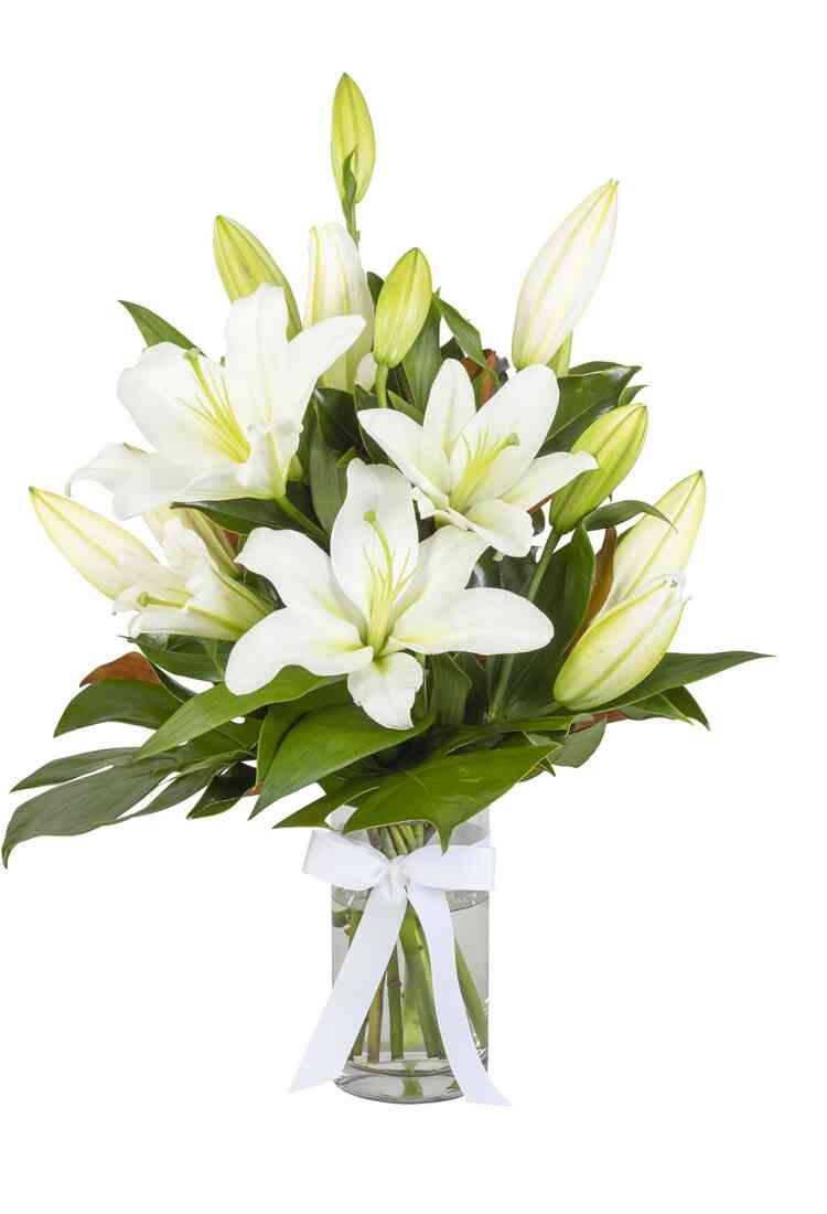 Sympathy Lilies..