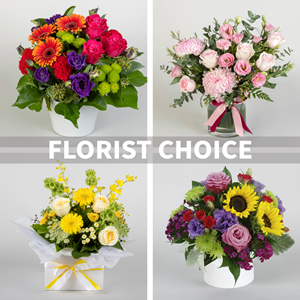 Arrangement of cut flower..
