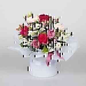 Blessed Blooms..