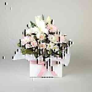 Blush Blossoms..