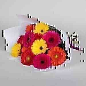 Colourful Gerberas..