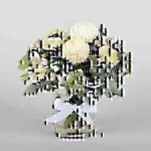 Elegant White Flowers..