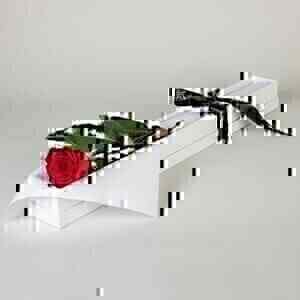 First Red Rose..