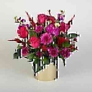 Flourishing Pink Roses..