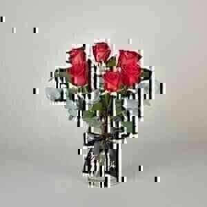 J'adore Roses..