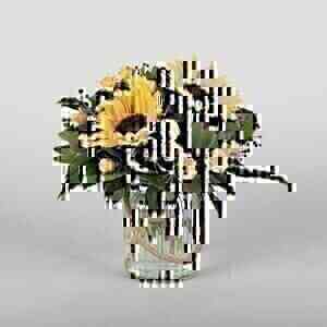 Spring Sunflowers..