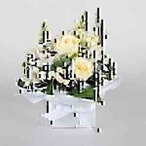 White Blooms..