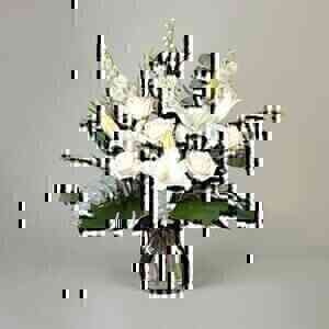 White Lily-Rose..