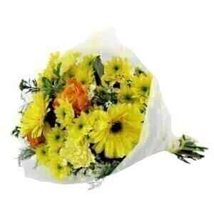 YELLOW MIXED BUNCH..