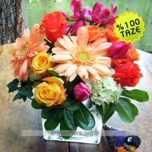 Arrangement of Cut Flower..