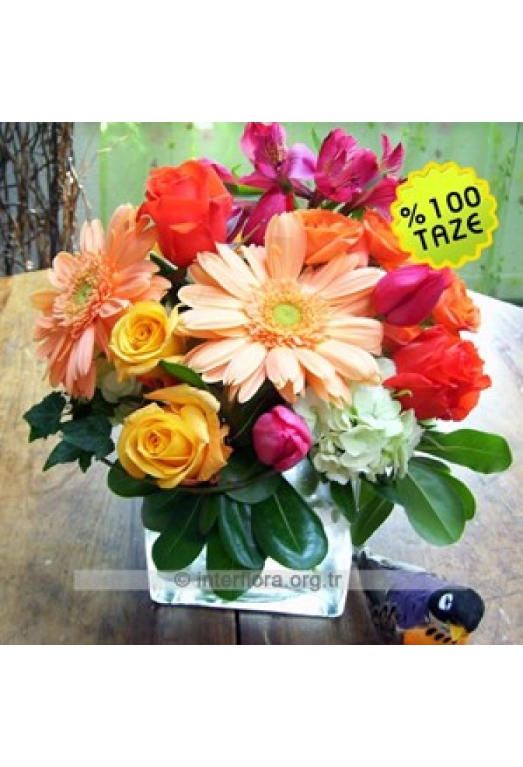 Arrangement of Cut Flower.. Arrangement of Cut Flower..