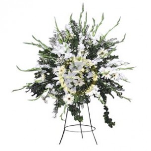 Standing Arrangement for ..