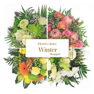Winter Florist's Choice B..