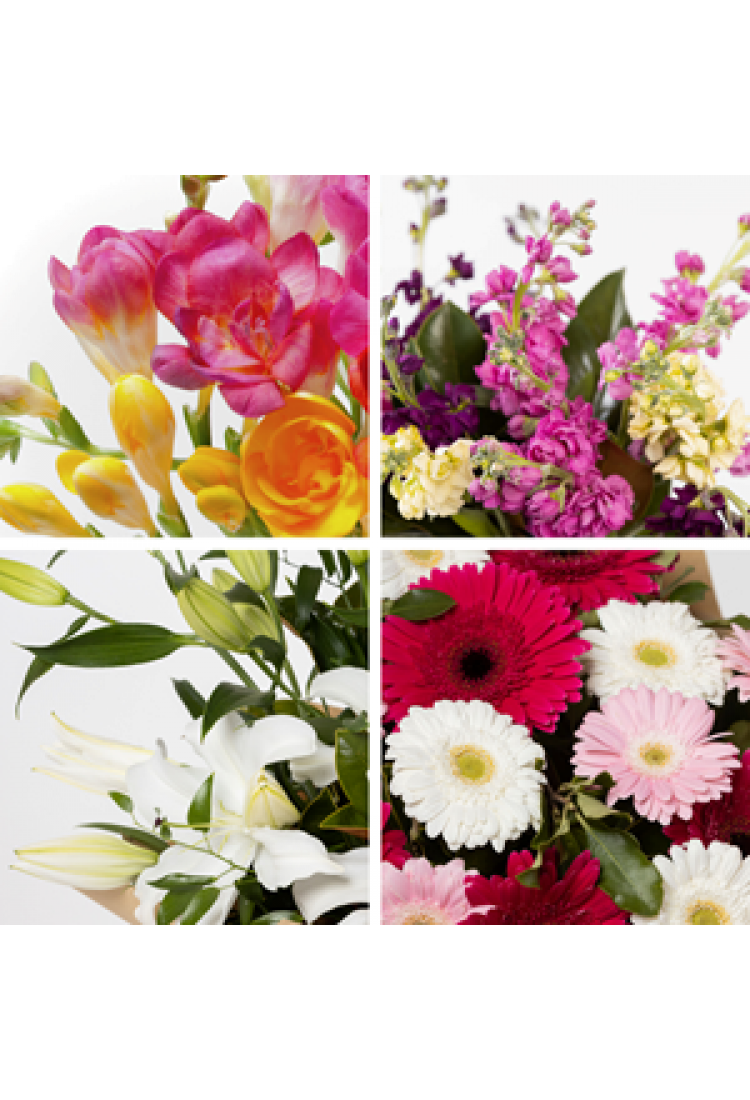 Arrangement of cut flower..