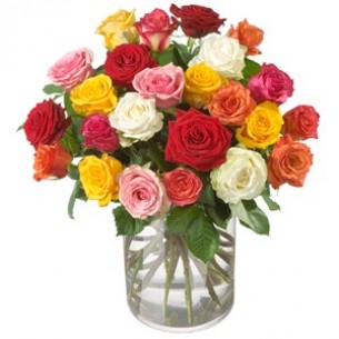 Allure - Colorful Roses..