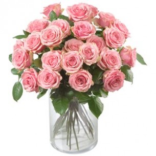 Pink Roses..