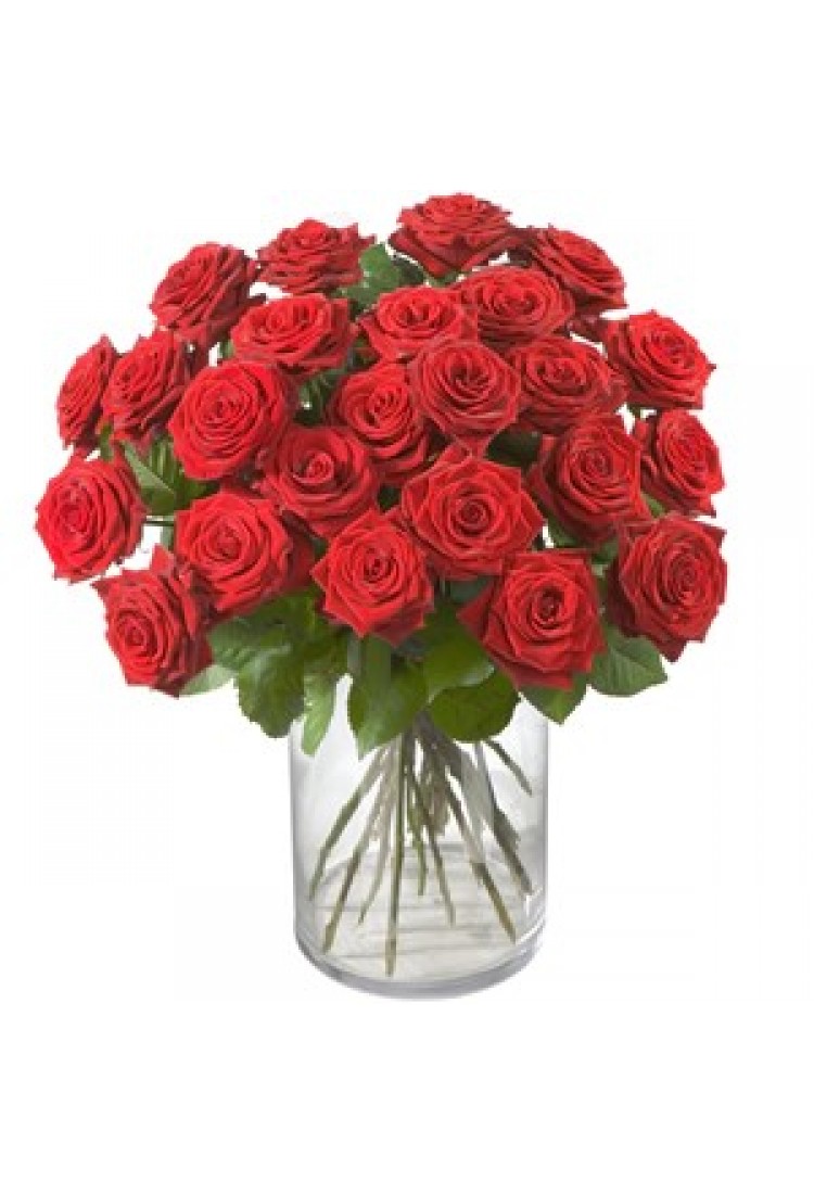 Red Roses Classics..