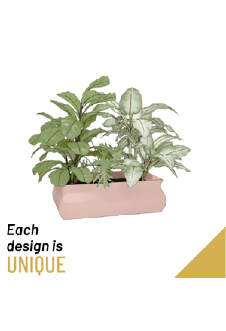 Arrangement of Plants..