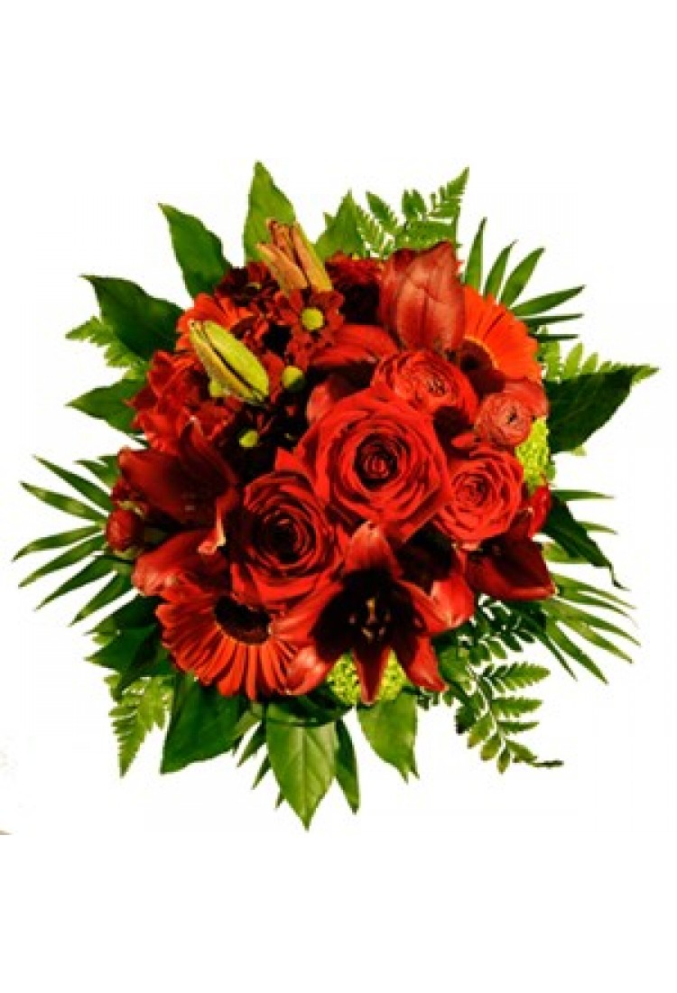 Carmen..