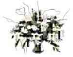 Intercat-316..