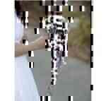 Intercat-807..