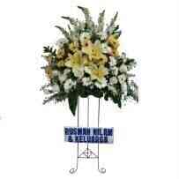Standing  -nº 02 flowers..