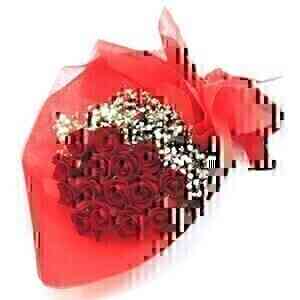 Red roses with white fill..